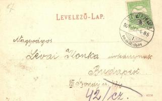 1908 Selmecbánya, Schemnitz, Banska Stiavnica; Klinger-tárói tó. Joerges A. / lake