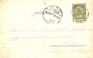 1905 Alsóidecs, Ideciu de Jos, Salzbad Nieder-Eidisch; sósfürdő, étterem, nyaraló / spa, restaurant,...