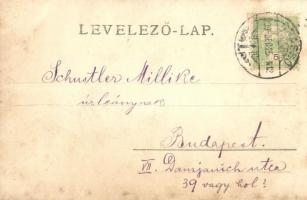 1903 Brassó, Kronstadt, Brasov; Fekete templom / Stadtpfarrkirche / church. H. Zeidner photo (EB)