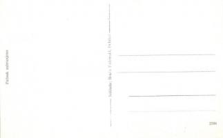 Delnice, Gorski kotar