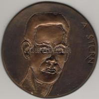 Bronz Plakett, 1974, "A. Stern...", G.Varbanov, Erh.: st/verdefényes RRRR! (nur 5 Stück)