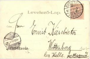 1899 Budapest XIV. Városliget, korcsolyázók, téli sport. Kiadja Vidéki Félix, Kunstanstalt Kosmos S....