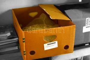 La Primula  olasz tésztás tányér (4 db) mázas kerámia, jelzett, hibátlan, d:31 cm (4×)