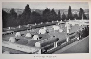 Wolfgang Hoffmann-Harnisch: Brazília. Egy forróövi nagybirodalom. Fordította: Dr. Csordás Nóra. Isme...