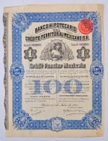 Mexikó 1932. "Banco Hipotecario de Crédito Territorial Mexicano, S.A. (Mexikó Területi Hitelek Jelzálogbankja)" reszvény 100P-ról, spanyol és francia nyelvű, szelvényekkel T:III tűly. Mexico 1932.  "Banco Hipotecario de Crédito Territorial Mexicano, S.A." share about 100 Pesos, Spanish and French language, with coupons C:F needle holes