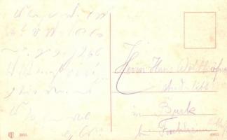 Winter sport with sleighing and skiing people (fl)