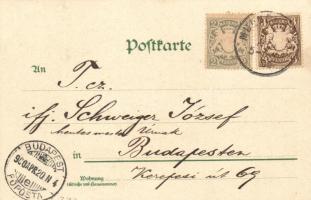 1900 Ich bin eine Wittwe / Frog playing on the piano with fly. litho (EK)