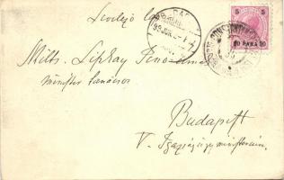 1899  Athens, Athína, Athenes; firefighters with fire engine  (EK)