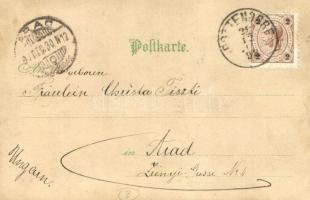 1898 Herzlichen Glückwunsh zum neuen Jahre. / New Year greeting art postcard, music band. Meteor Tra...