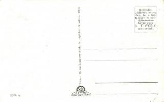 Komárom, Komárno; Járásbíróság, Péczely tér, Rakpart és Duna híd, Izraelita templom, zsinagóga / cou...