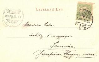 1903 Kolozsvár, Cluj; Vármegyeház, Jakner József cipész üzlete, hirdetőoszlop / county hall, shop, a...