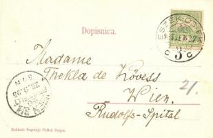 1905 Eszék, Esseg, Osijek; Felsővárosi Péter és Pál templom, drogéria, Első Magyar-Német Eszéki üzle...