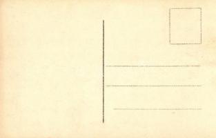 Vogelschaukarte des Kriegsschauplatzes an der italienischen Grenze / WWI map of the theater of war a...