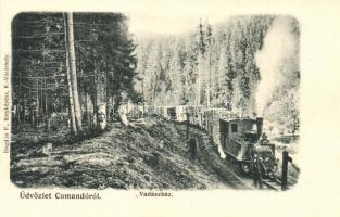 Kommandó, Comando, Comandau; Vadászház. faszállító ipari vasút, gőzmozdony. Bogdán F. fényképész / industrial railway, locomotive transporting timber