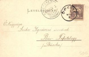 1901 Óbecse, Stari Becej; Árpád-ligeti főbejárat, Fő utca, protestáns templom, Lőkert / park, shooti...