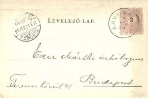 1899 Árvaváralja, Oravsky Zámok (od Juhovychodu); vár / Schloss / castle  (EK)