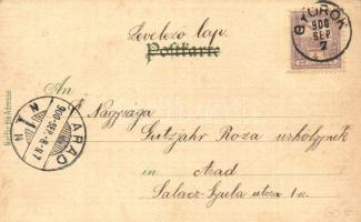 1900 Lázne Kynzvart, Bad Königswart; Schloss Metternich, Neues Badhaus, Richards-Quelle, Weidmannshe...