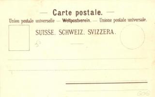 Rheinfelden, Storchennestthurm, Sanatorium. Gebr. Künzli Nr. 362. litho