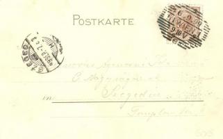 1899 Vienna, Wien; Venedig, Wasserrutschbahn / amusement park with waterslide. Kosmos Kunstanstalt B...