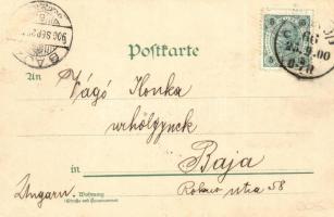 1900 Vienna, Wien; Am Hof / market square with monument. Kunstanstalt J. Miesler litho  (EK)