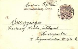 1900 Köln, Cologne; Kosmos S 11. litho s: Basch Árpád