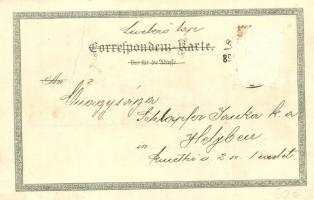 1898 Karlovy Vary, Carlsbad, Karlsbad; Marktbrunnen, Schlossbrunnen / fountains. Ottmar Zieher flora...