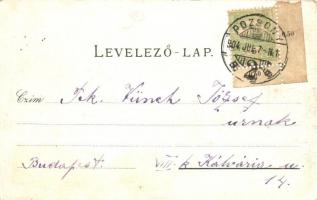 1904 Pozsony, Pressbrug, Bratislava; Posonium anno 1709. (EK)