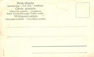 Wien, Vienna, Bécs; K.k. Hofburgtheater / theatre at night. Art Nouveau art postcard