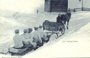 Tayling-Partie / Winter sport, horse sled