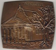 Bronz Plakett, 1965, Tápiószele-Synagoge, G.Varbanov, Erh.:st /verdefényes RRRR! (nur 5 St)