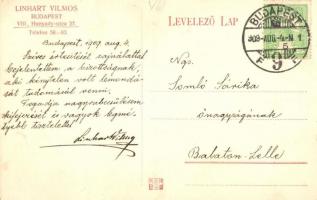 Budapest VIII. Linhart Vilmos festő és díszitő termei, műterem belsők. Hunyady utca 27. (Futó utca)