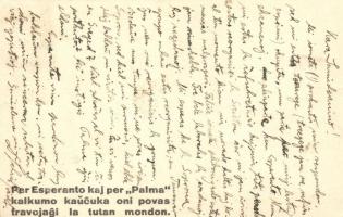 Per Esperanto kaj per Palma kalkumo kaucuka oni povas travojagi la tutan mondon / Palma kaucsuk talp...