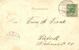 1900 Sokolowsko, Görbersdorf; Kurhaus, Douche & Bäder, Burg Friedenstein, Villa für Reconvalesce...