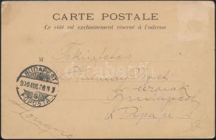 1900 Halmay Zoltán (1881-1956) olimpiai bajnok úszó saját kézzel írt képeslapja a Párizsi Olimpiáról...