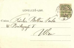 1904 Debrecen, Csokonai Vitéz Mihály síremléke a Hatvan utcai temetőben. Telegdi K. Lajos utóda kiad...