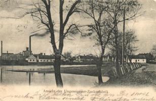 1905 Magyarfalu, Magyarfalva, Záhorská Ves, Ungeraiden, Ungereigen; cukorgyár / Zuckerfabrik / sugar factory (szakadások / tears)