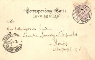 1898 FZM. Daniel Freih. von Salis-Soglio. K.u.K. Infanterie Regiment Nr. 76. Senfelder's Art No...