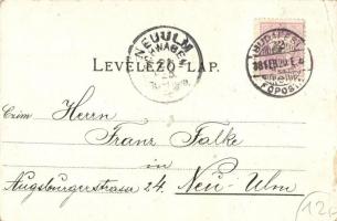 1898 Budapest, Bazilika, Parlament, Országház, gőzhajó, Igazságügyi palota. Art Nouveau, floral, lit...