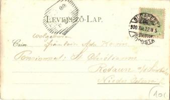 1900 Budapest V. Országház, Parlament, gőzhajó. F. Schmuck Art Nouveau, golden, litho, Emb. sun (EK)