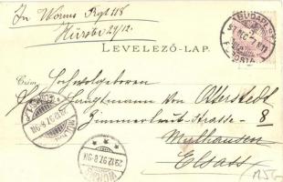 1897 (Vorläufer!) Budapest, Buda, Margit fürdő, Gellérthegy, gőzhajó. Ottmar Zieher Art Nouveau, flo...