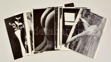 Akt-mappa 1984. Vál. Győri Lajos. Bp., Ofotért. Számos aktkép papír mappában, egy hiányzik