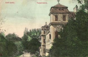 Tata-Tóváros, Gróf Esterházy kastély. Engländer és Társa kiadása (EK)