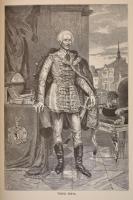 Az Osztrák-Magyar Monarchia írásban és képben XXI. kötete: Szent István Koronája országainak VIII. k...