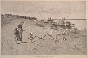 Az Osztrák-Magyar Monarchia írásban és képben XXI. kötete: Szent István Koronája országainak VIII. k...