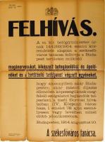 1914 Egészségügyi képzettségűeket toborzó hirdetmény vízjeles papíron 50x60cm