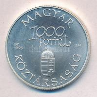 1995. 1000Ft Ag "Régi dunai hajók III - Hableány" T:BU 
Adamo EM139