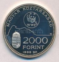 1998. 2000Ft Ag "WWF - Óvd a természetet" T:PP Adamo EM154