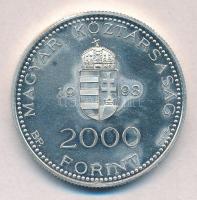 1998. 2000Ft Ag "Integráció az EU-ba - EURO II" T:1 eredtileg PP 
Adamo EM157