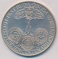 Asszonyi Tamás (1942-) 1973. "MÉE IV. Vándorgyűlése Budapest / Pest, Buda, Óbuda egyesítésének ...