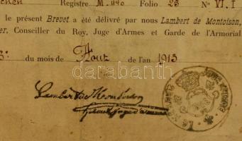 1913 dr. Riddler Zsigmond és a Riddler család címerigazolása a francia címernyilvántartásból. Kézzel...